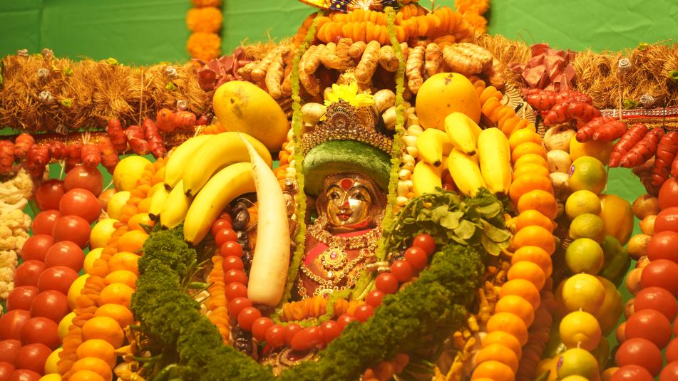 new-zealand-telangana-central-association-bonalu-celebrations-6.jpg