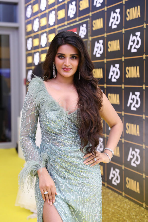 Nidhi Agarwal at SIIMA Awards