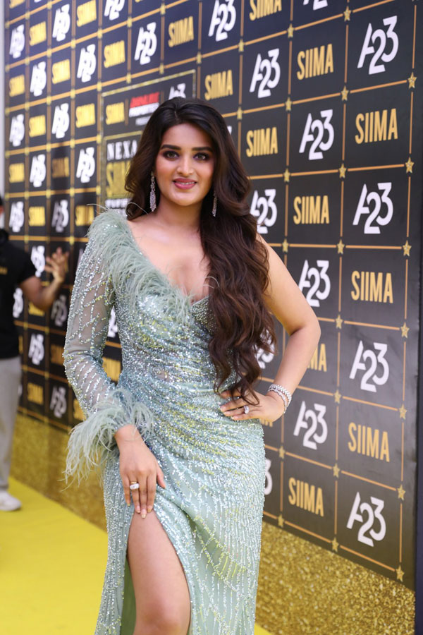 nidhi-agarwal-at-siima-awards-6.jpg