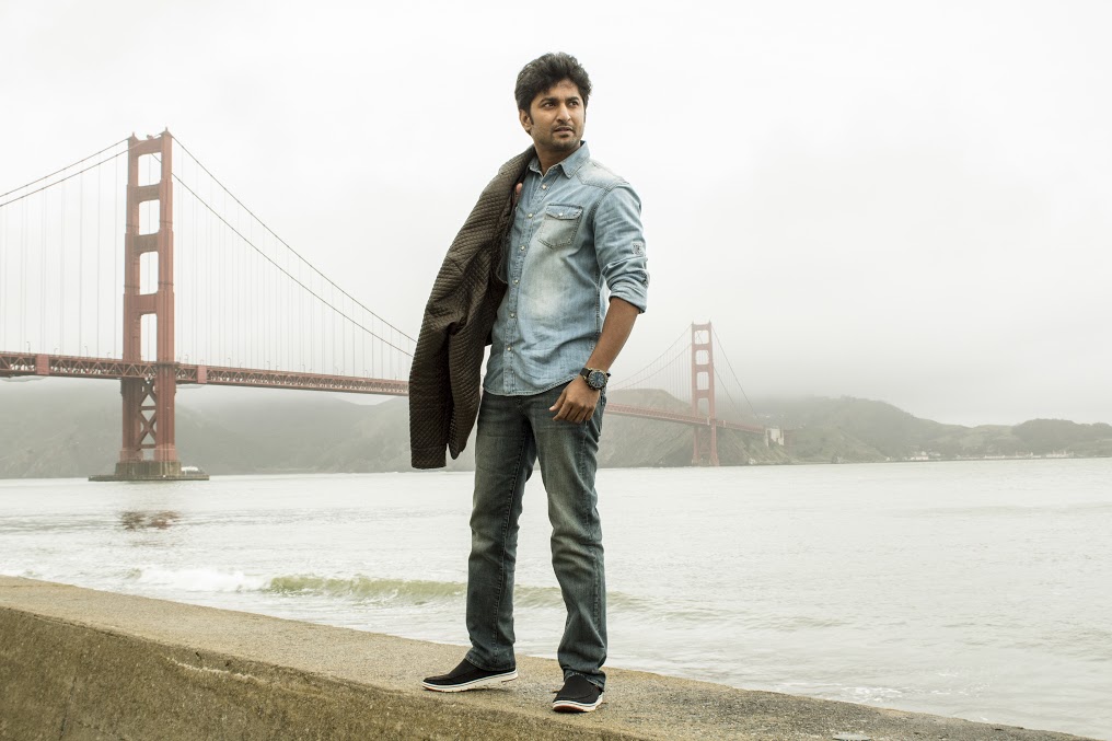 ninnukori2.jpg
