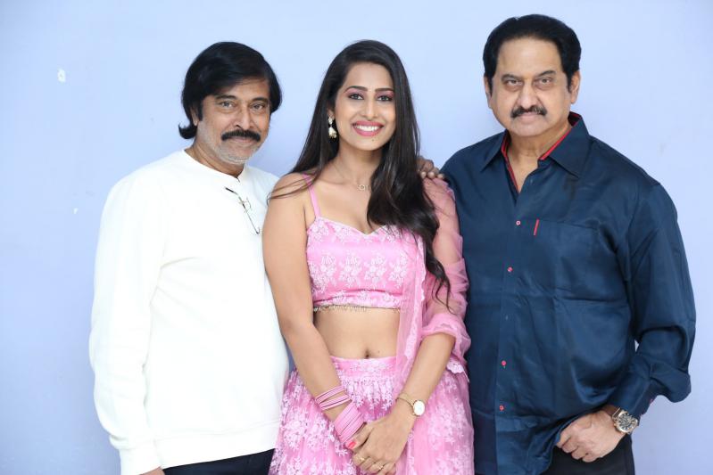 nuvve-naapranam-movie-pre-release-5.jpg