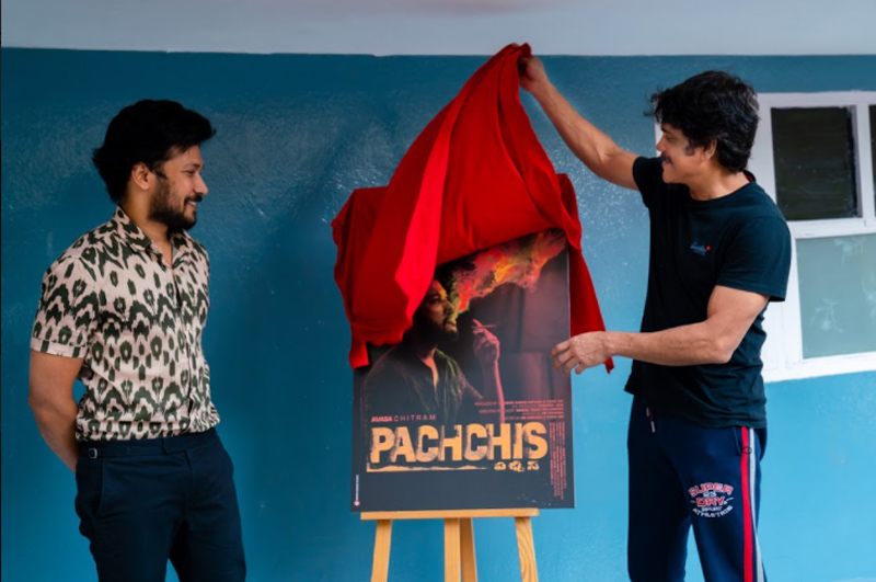 pachchis4.jpg