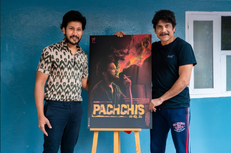 pachchis6.jpg