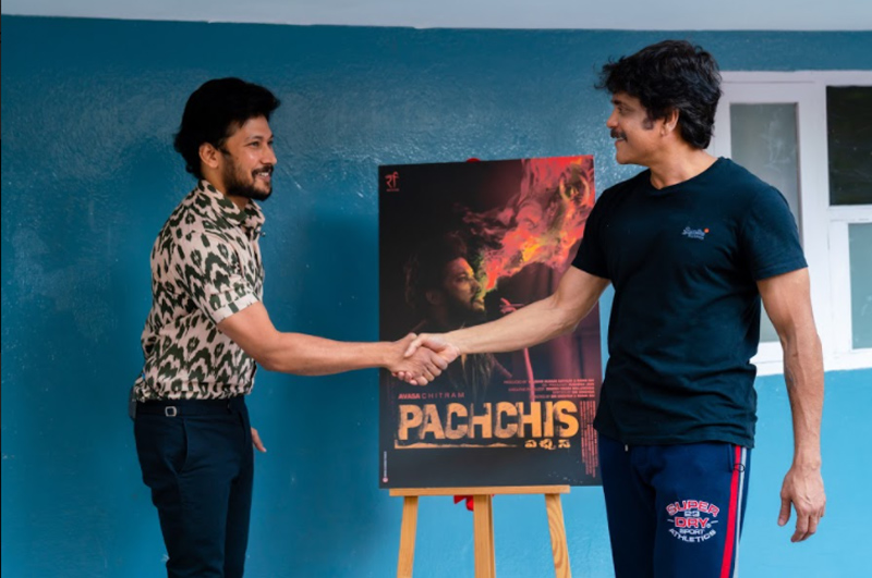 pachchis7.jpg