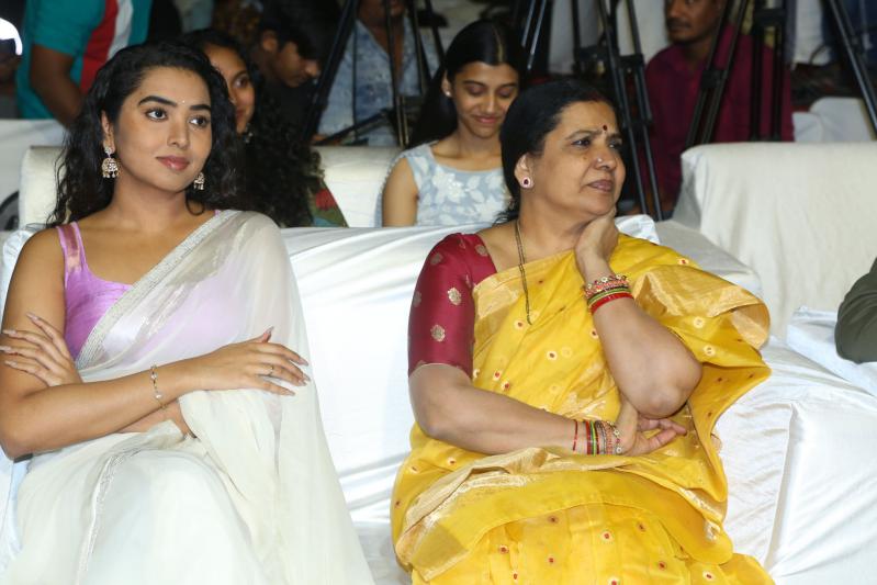 panchatantram-movie-pre-release-15.jpg
