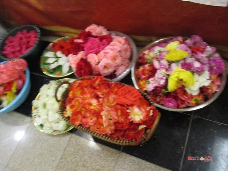 poojalu3-1461663548.jpg