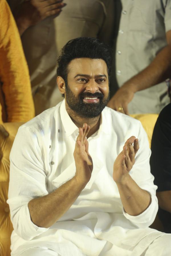 prabhas-stills-3-5.jpg