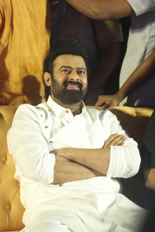 prabhas-stills-3-6.jpg