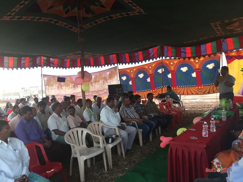TANA Chaitanya Sravanti at Kalukutla 2016