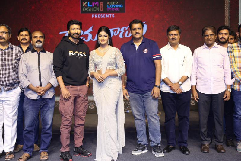 Rama Banam Movie Pre Release