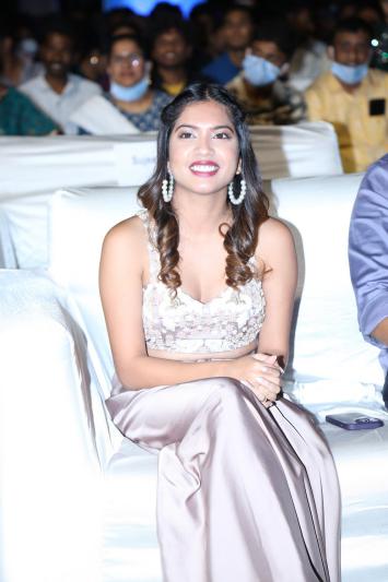 rebels-of-tupakula-gudem-movie-pre-release-2.jpg