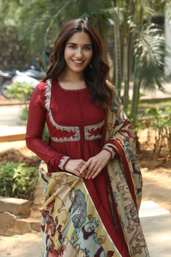 Ruhani Sharma Stills