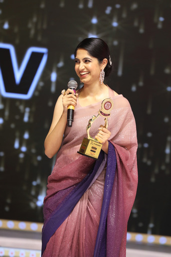 santosham-suman-tv-south-indian-film-awards-1-5.jpg
