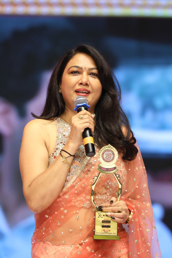 Santosham-Suman TV South Indian Film Awards 3
