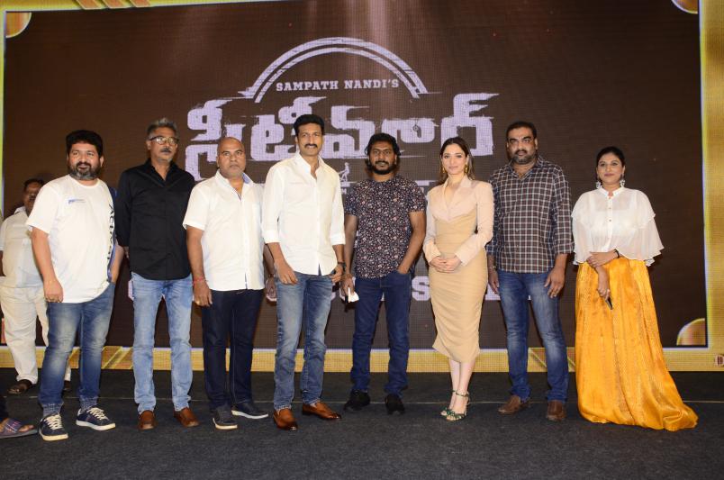 seetimarr-movie-success-meet-2.jpg