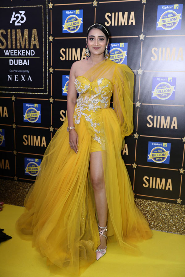 siima-awards-set-2-17.jpg