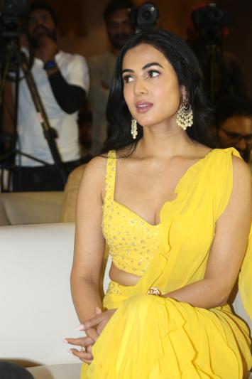 sonal-chauhan-stills-3-12.jpg