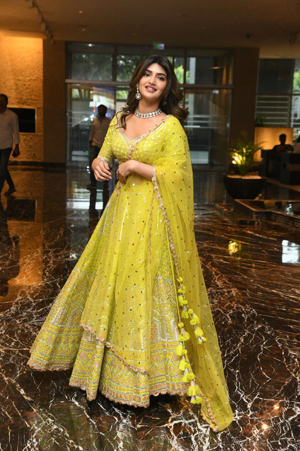 sreeleela-stills-4-2.jpg