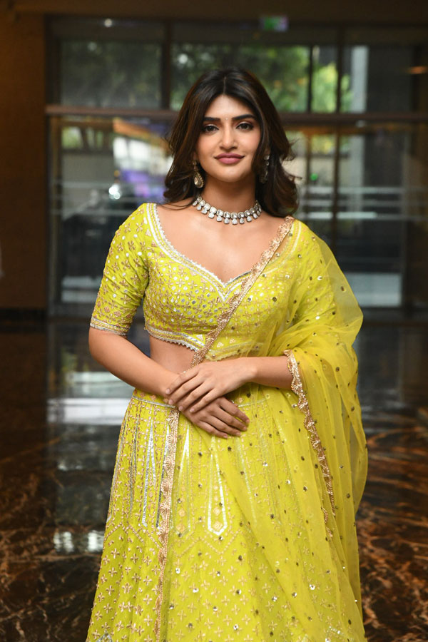 sreeleela-stills-4-3.jpg