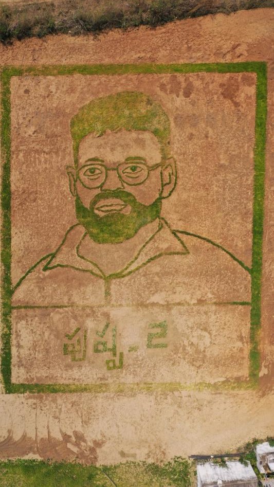 sukumar-paddy-farming-art-video-2.jpg