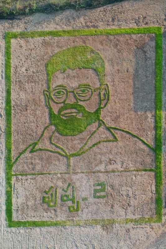 sukumar-paddy-farming-art-video-4.jpg