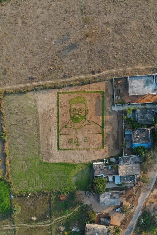 sukumar-paddy-farming-art-video-5.jpg