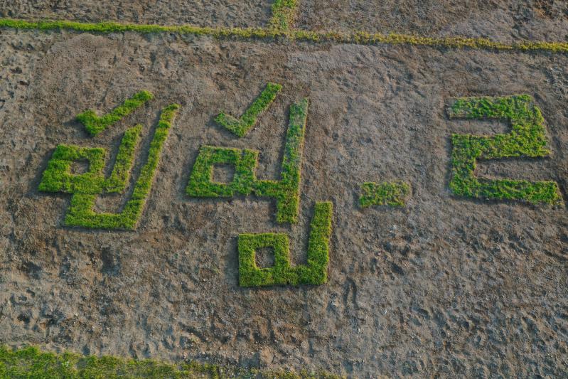 sukumar-paddy-farming-art-video-7.jpg