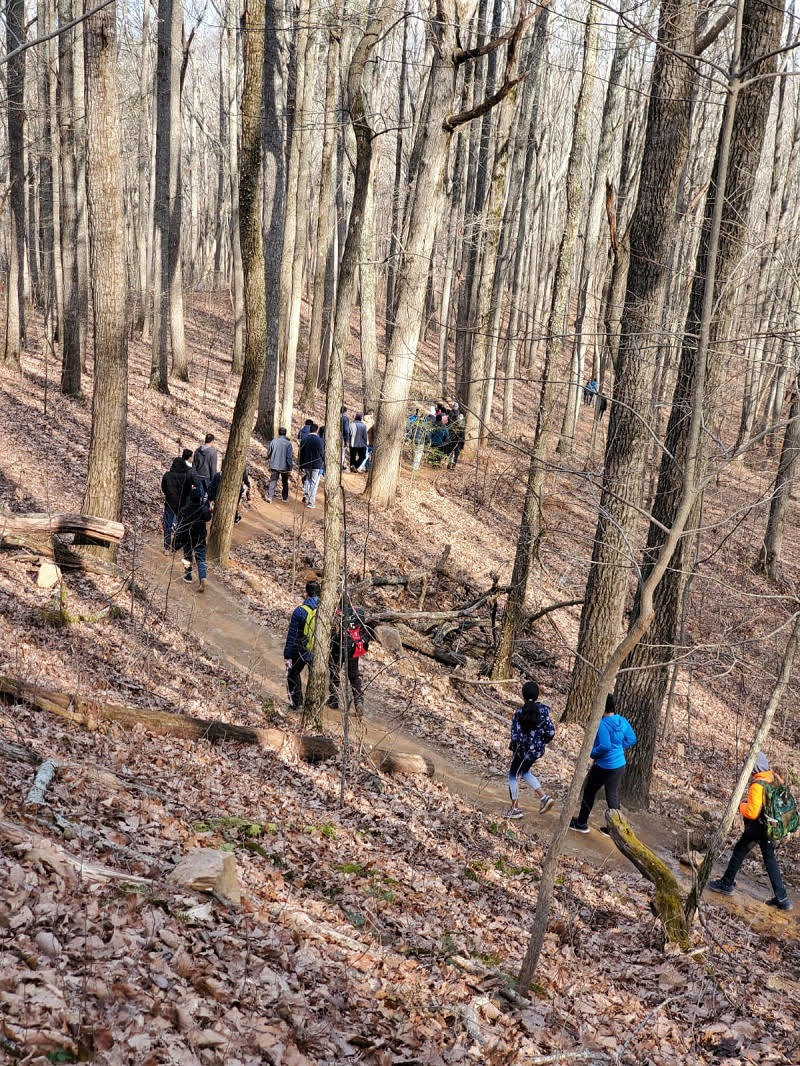 tamahiking4.jpg