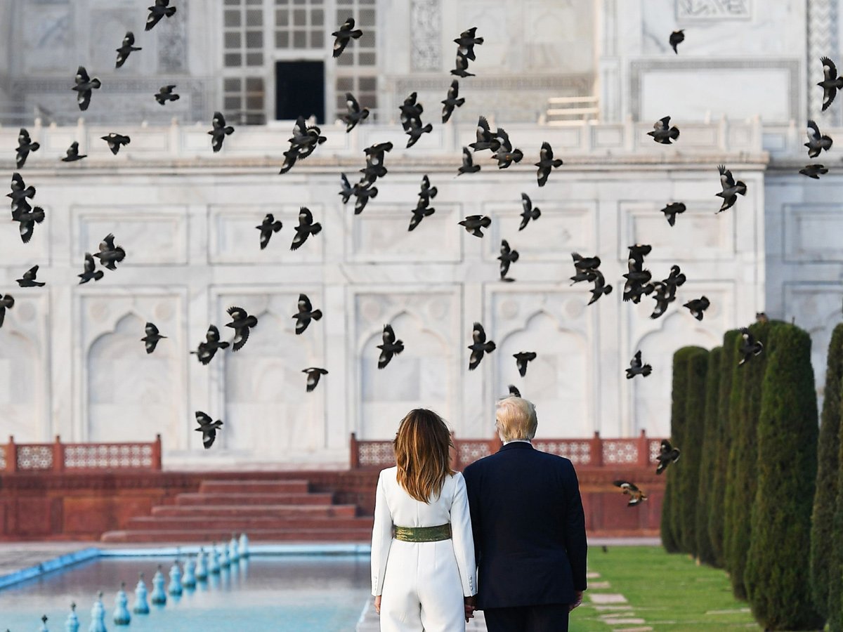 trumptajmahal7.jpg