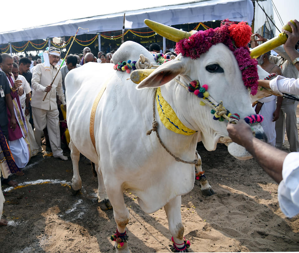 ttdamaravati2.jpg