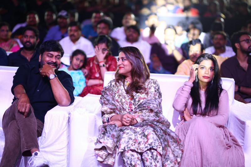 Waltair Veerayya Mega Mass Party Set 2
