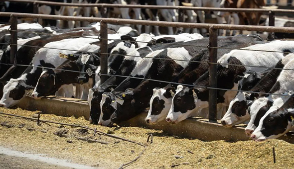 California, కాలిఫోర్నియాలో ఎమర్జెన్సీ