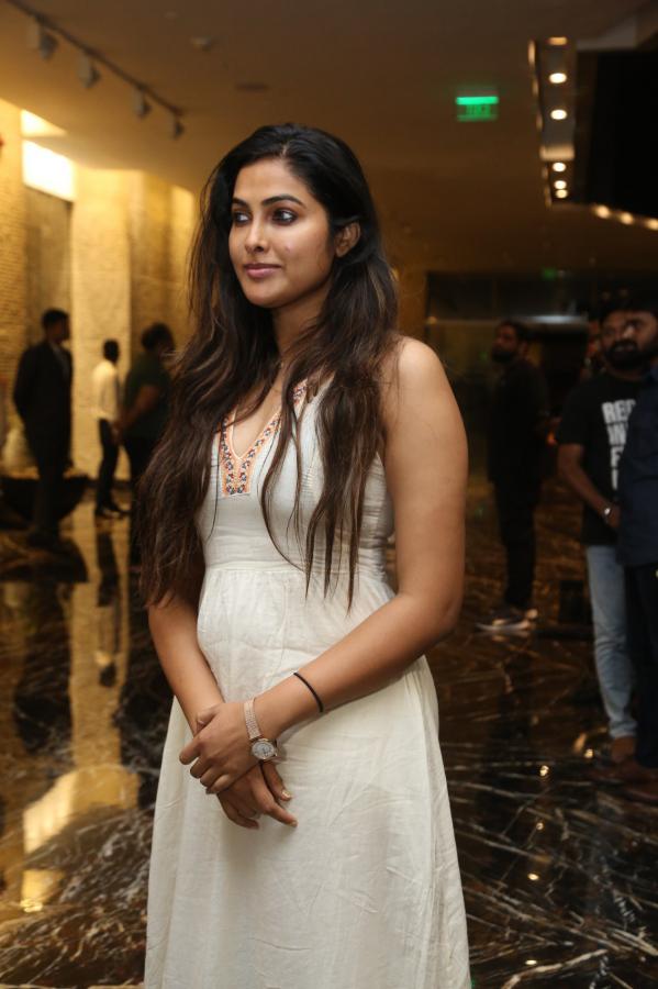 divi-vadthya-stills-6-3.jpg