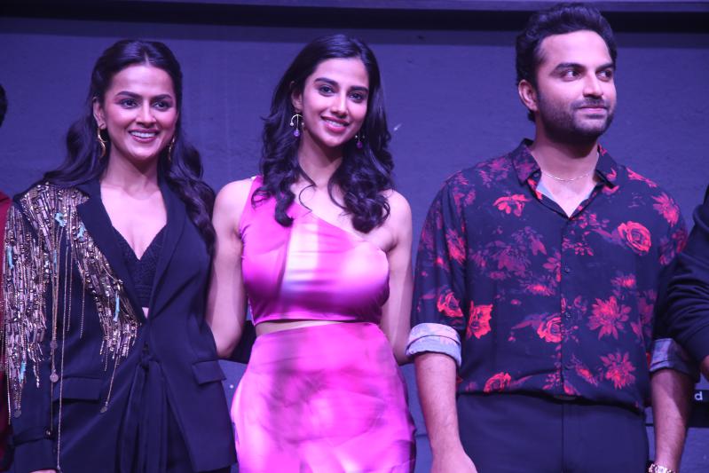 mechanic-rocky-movie-press-meet-4.jpg