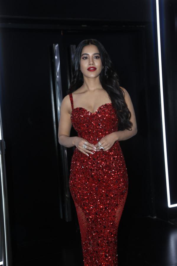 nabha-natesh-stills-4-12.jpg