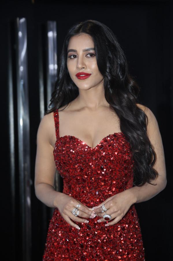 nabha-natesh-stills-4-15.jpg