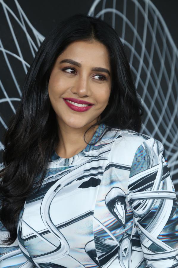 nabha-natesh-stills-5-17.jpg