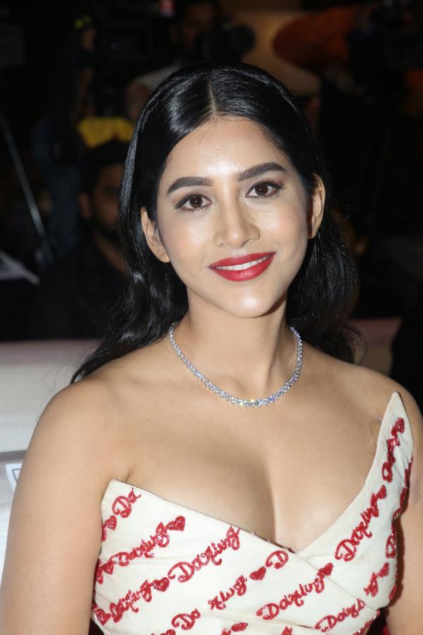 Nabha Natesh Stills