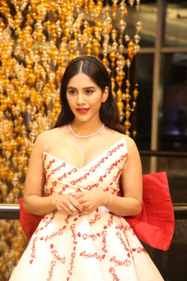 nabha-natesh-stills-6-11.jpg