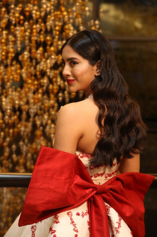 nabha-natesh-stills-6-15.jpg