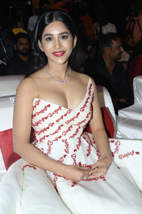 nabha-natesh-stills-6-30.jpg