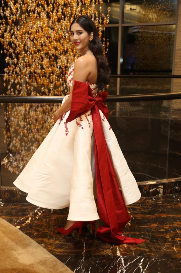 nabha-natesh-stills-6-7.jpg