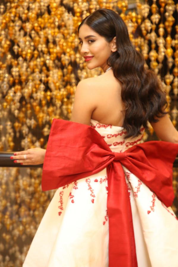 nabha-natesh-stills-6-8.jpg