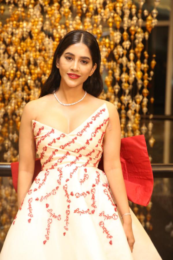 nabha-natesh-stills-6-9.jpg