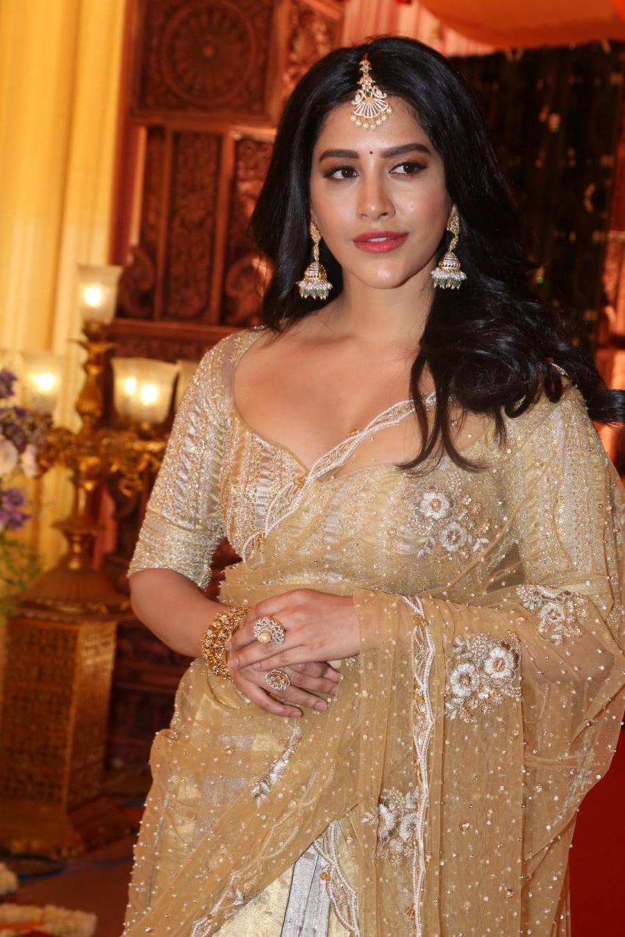 nabha-natesh-stills-8-16.jpg
