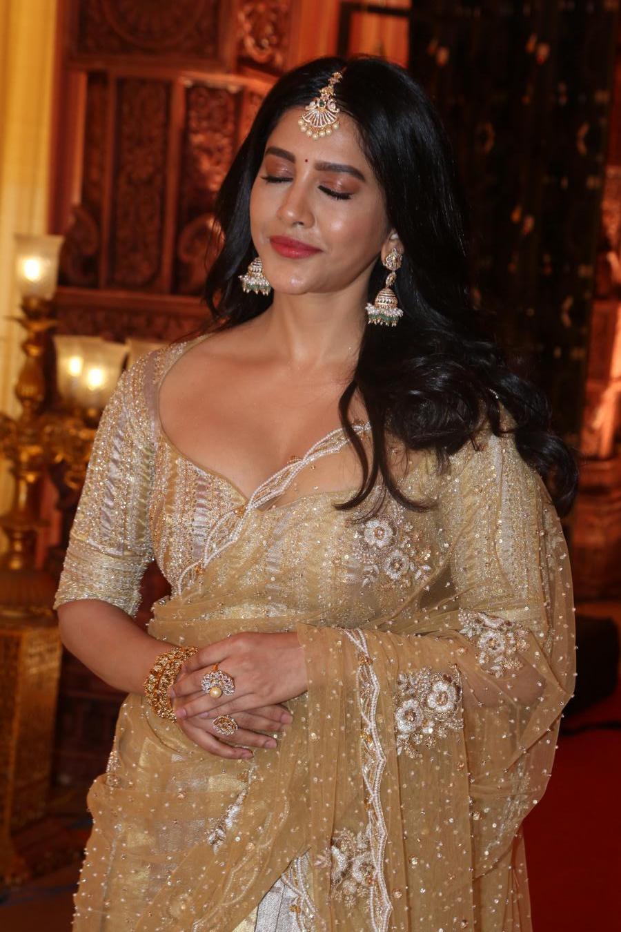 nabha-natesh-stills-8-4.jpg