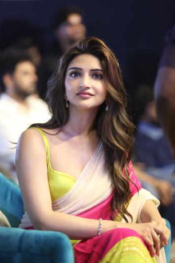 pushpa2-movie-pre-release-14.jpg