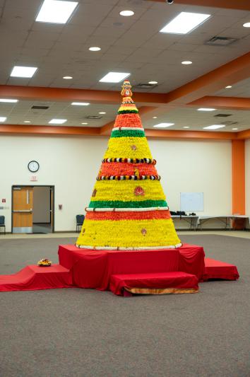 tagkc-bathukamma-celebrations-in-kansas-city-2.jpg