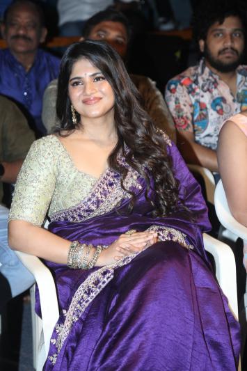 vikkatakavi-movie-press-meet-6.jpg