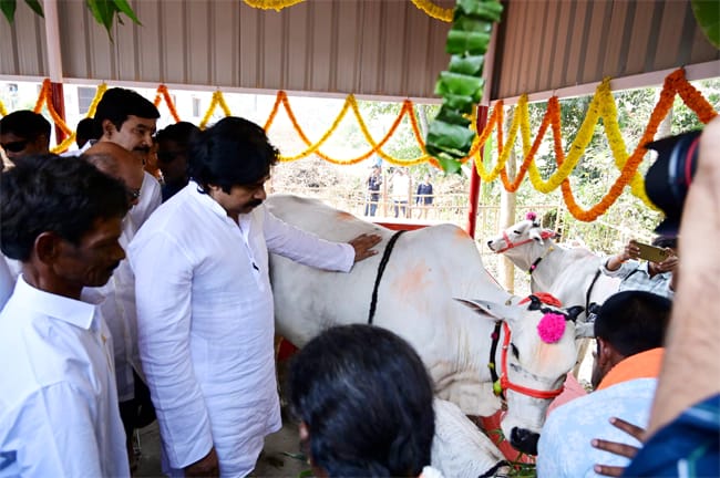 Pawan Kalian :మినీ గోకులాన్ని ప్రారంభించిన డిప్యూటీ సీఎం  పవన్ కల్యాణ్